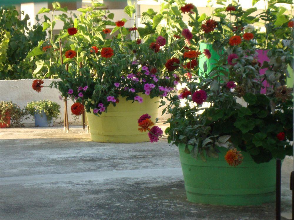 Lefka Hotel Kolymbari Exterior foto